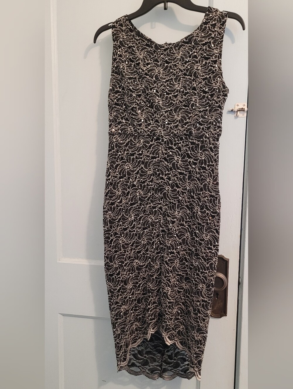 Blu Sage Black Lace Sheath Dress with Ivory Lace Overlay